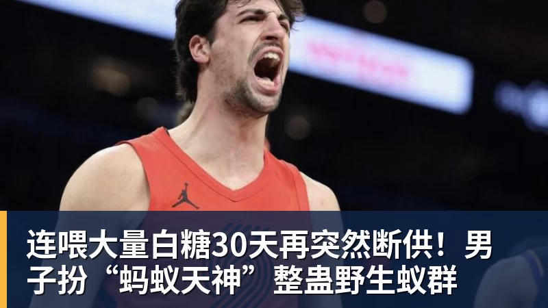华体会体育连喂大量白糖30天再突然断供！男子扮“蚂蚁天神”整蛊野生蚁群